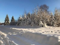 big_54290468_0_200-150