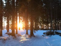 big_54290578_0_200-150